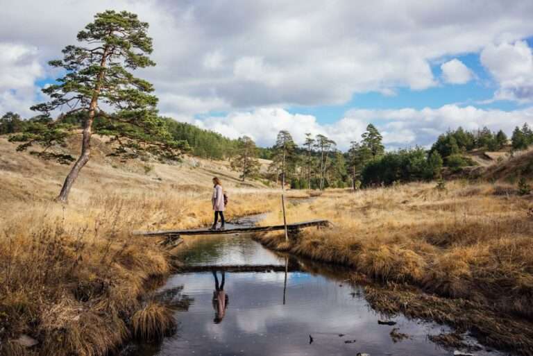 Zlatibor